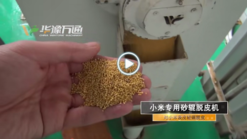 日產(chǎn)30噸小米加工生產(chǎn)線(xiàn)視頻