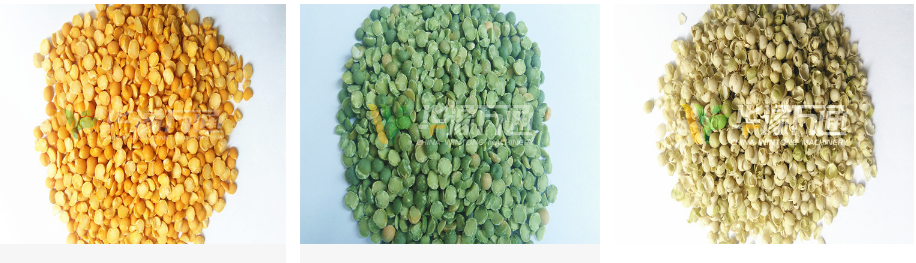 豌豆脫皮機(jī) FINISHED PRODUCTS