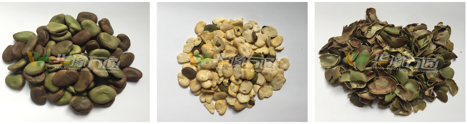 蠶豆脫皮機 FINISHED PRODUCTS